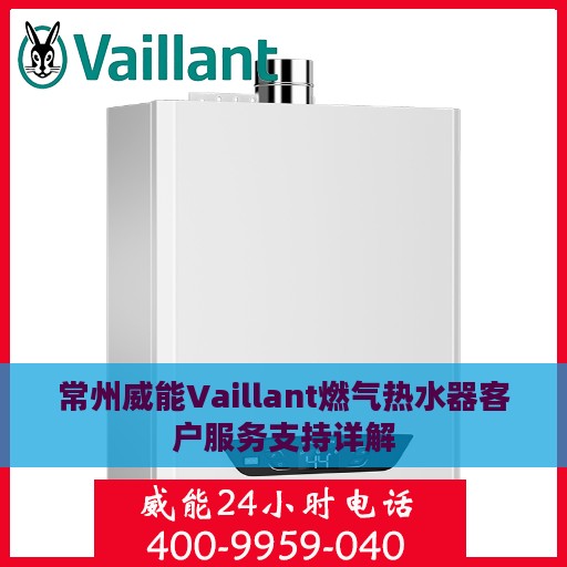常州威能Vaillant燃气热水器客户服务支持详解