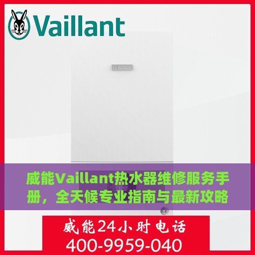 威能Vaillant热水器维修服务手册，全天候专业指南与最新攻略