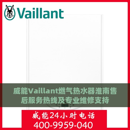 威能Vaillant燃气热水器淮南售后服务热线及专业维修支持
