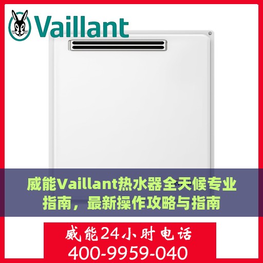威能Vaillant热水器全天候专业指南，最新操作攻略与指南