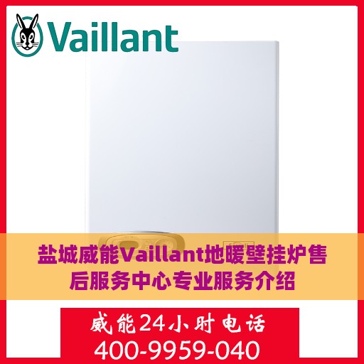 盐城威能Vaillant地暖壁挂炉售后服务中心专业服务介绍