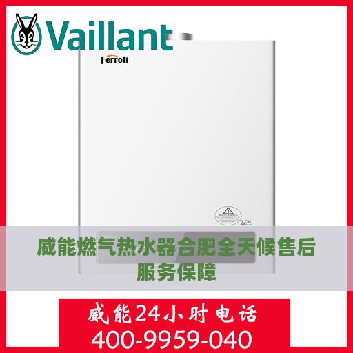 威能燃气热水器合肥全天候售后服务保障