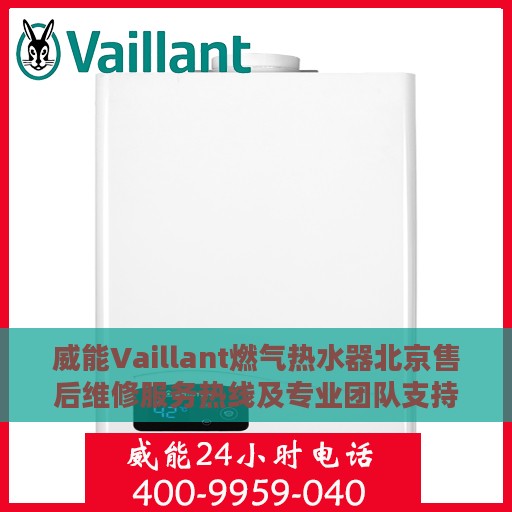 威能Vaillant燃气热水器北京售后维修服务热线及专业团队支持