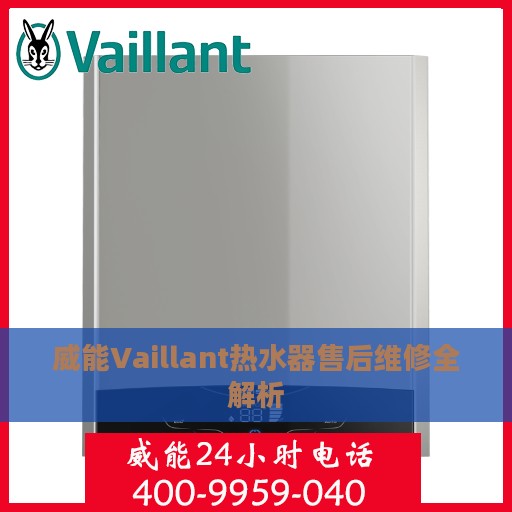 威能Vaillant热水器售后维修全解析
