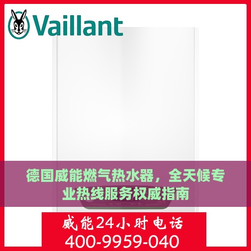 德国威能燃气热水器，全天候专业热线服务权威指南