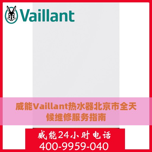 威能Vaillant热水器北京市全天候维修服务指南