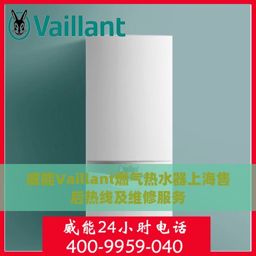 威能Vaillant燃气热水器上海售后热线及维修服务