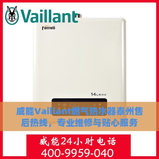 威能Vaillant燃气热水器泰州售后热线，专业维修与贴心服务