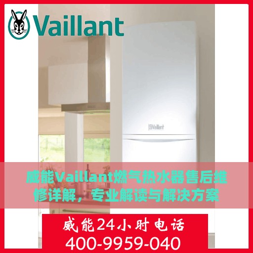 威能Vaillant燃气热水器售后维修详解，专业解读与解决方案
