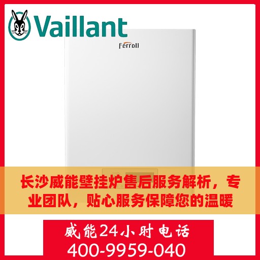 长沙威能壁挂炉售后服务解析，专业团队，贴心服务保障您的温暖生活
