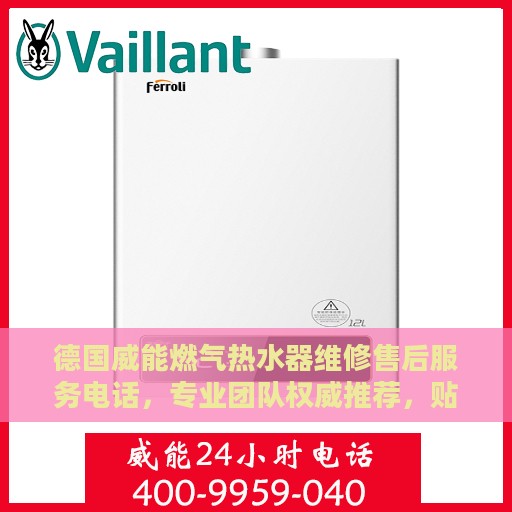 德国威能燃气热水器维修售后服务电话，专业团队权威推荐，贴心服务保障您的舒适生活