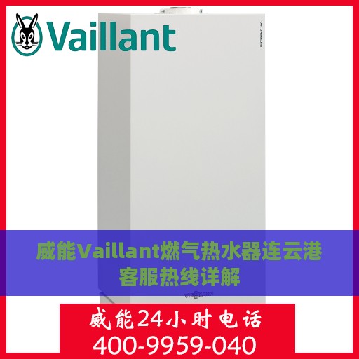 威能Vaillant燃气热水器连云港客服热线详解