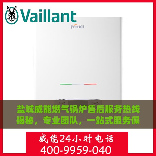 盐城威能燃气锅炉售后服务热线揭秘，专业团队，一站式服务保障