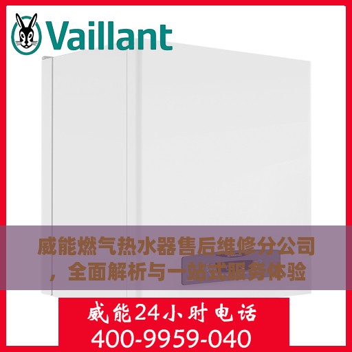 威能燃气热水器售后维修分公司，全面解析与一站式服务体验