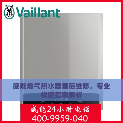 威能燃气热水器售后维修，专业权威指南解析