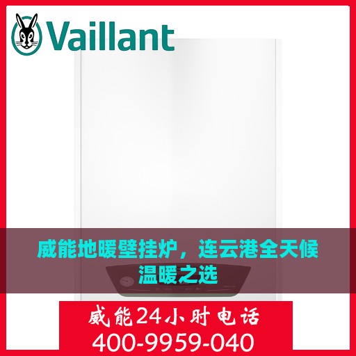 威能地暖壁挂炉，连云港全天候温暖之选