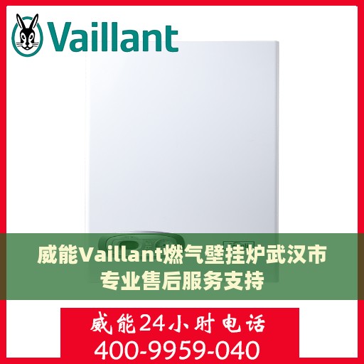 威能Vaillant燃气壁挂炉武汉市专业售后服务支持