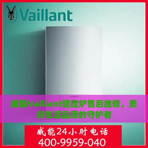 威能Vaillant壁挂炉售后维修，美好生活品质的守护者