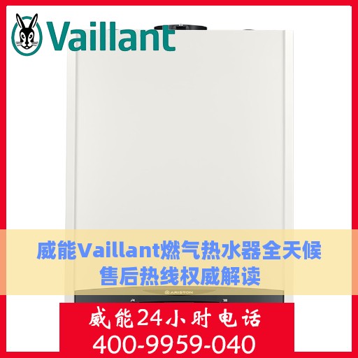 威能Vaillant燃气热水器全天候售后热线权威解读