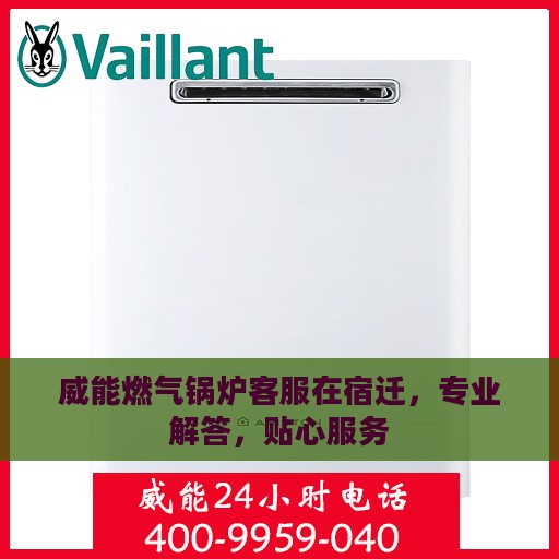 威能燃气锅炉客服在宿迁，专业解答，贴心服务