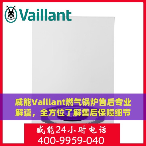 威能Vaillant燃气锅炉售后专业解读，全方位了解售后保障细节