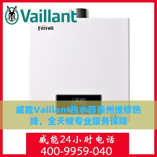 威能Vaillant热水器泰州维修热线，全天候专业服务保障