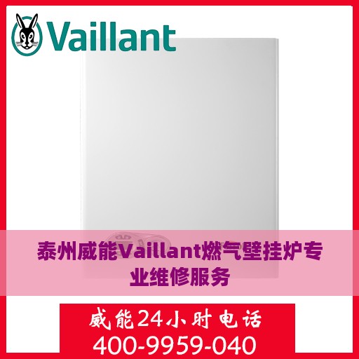 泰州威能Vaillant燃气壁挂炉专业维修服务