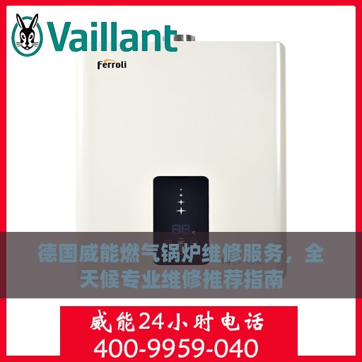 德国威能燃气锅炉维修服务，全天候专业维修推荐指南