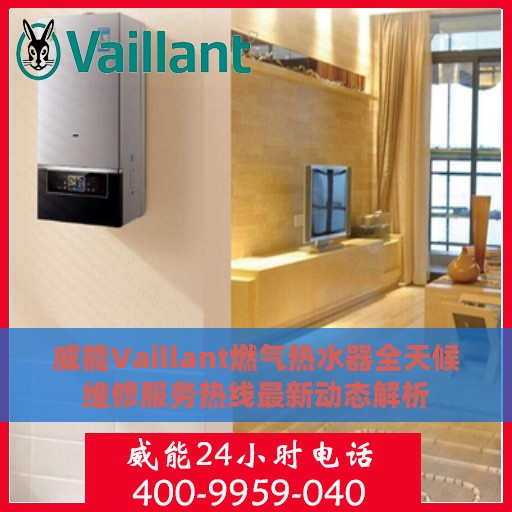 威能Vaillant燃气热水器全天候维修服务热线最新动态解析