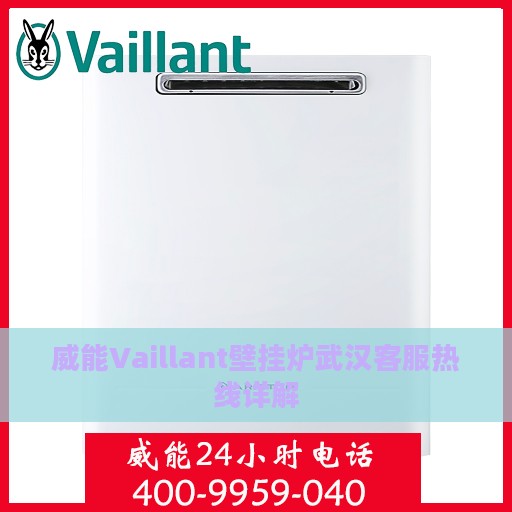 威能Vaillant壁挂炉武汉客服热线详解