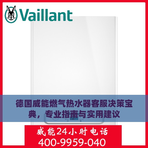 德国威能燃气热水器客服决策宝典，专业指南与实用建议