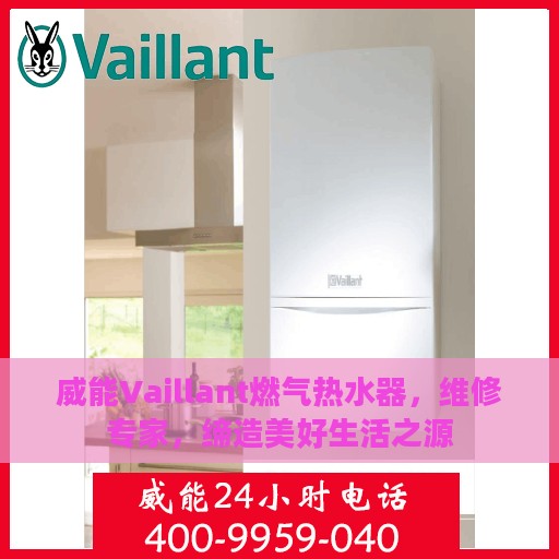 威能Vaillant燃气热水器，维修专家，缔造美好生活之源