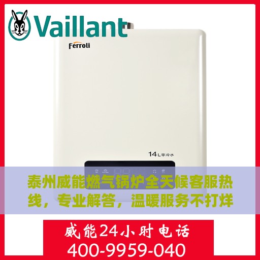 泰州威能燃气锅炉全天候客服热线，专业解答，温暖服务不打烊