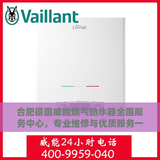 合肥德国威能燃气热水器全国服务中心，专业维修与优质服务一站解决