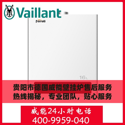 贵阳市德国威能壁挂炉售后服务热线揭秘，专业团队，贴心服务电话号码查询