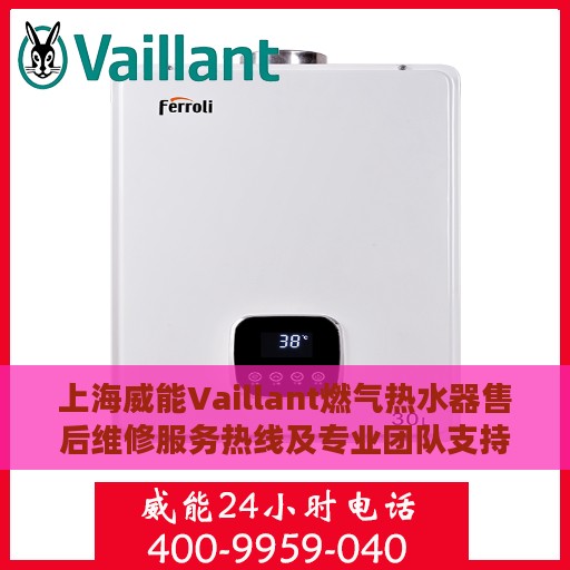 上海威能Vaillant燃气热水器售后维修服务热线及专业团队支持