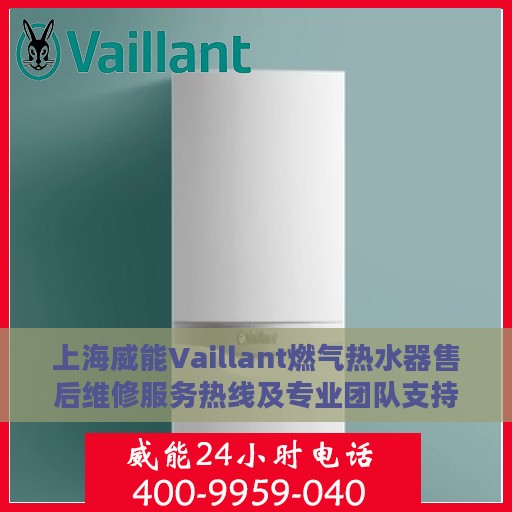 上海威能Vaillant燃气热水器售后维修服务热线及专业团队支持