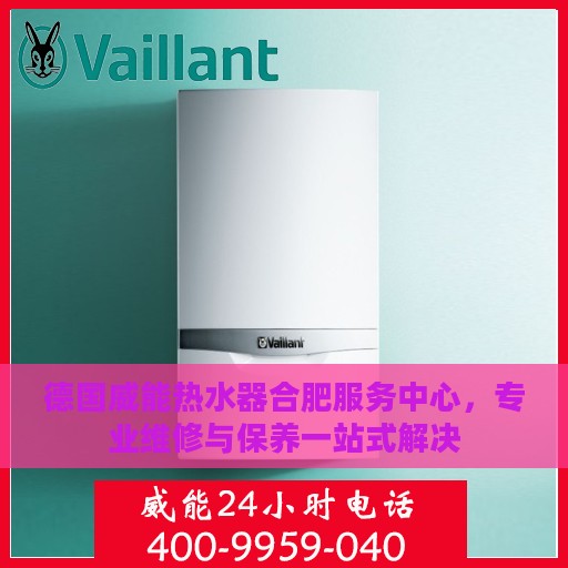 德国威能热水器合肥服务中心，专业维修与保养一站式解决