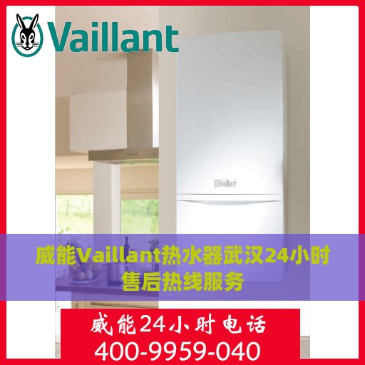 威能Vaillant热水器武汉24小时售后热线服务