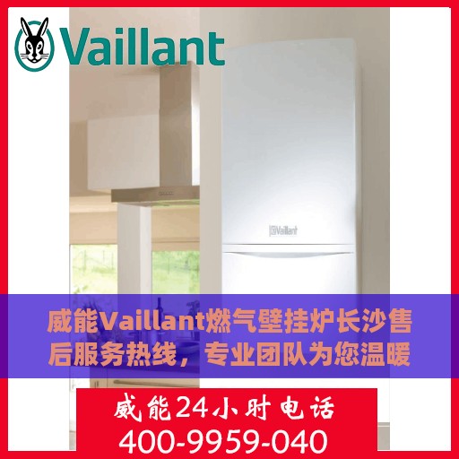 威能Vaillant燃气壁挂炉长沙售后服务热线，专业团队为您温暖护航