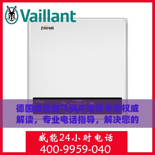 德国威能燃气锅炉维修专家权威解读，专业电话指导，解决您的维修难题