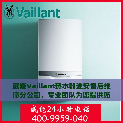 威能Vaillant热水器淮安售后维修分公司，专业团队为您提供贴心服务