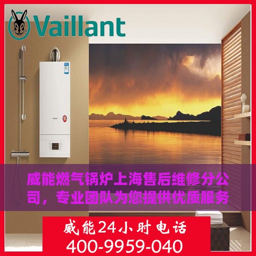 威能燃气锅炉上海售后维修分公司，专业团队为您提供优质服务