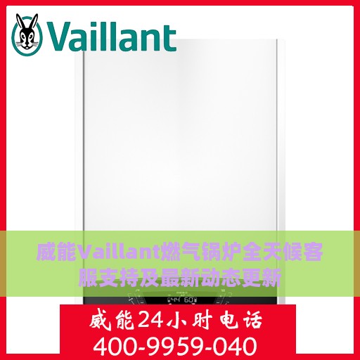威能Vaillant燃气锅炉全天候客服支持及最新动态更新