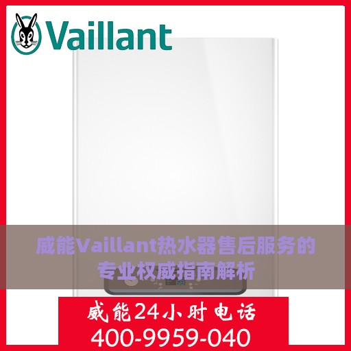 威能Vaillant热水器售后服务的专业权威指南解析