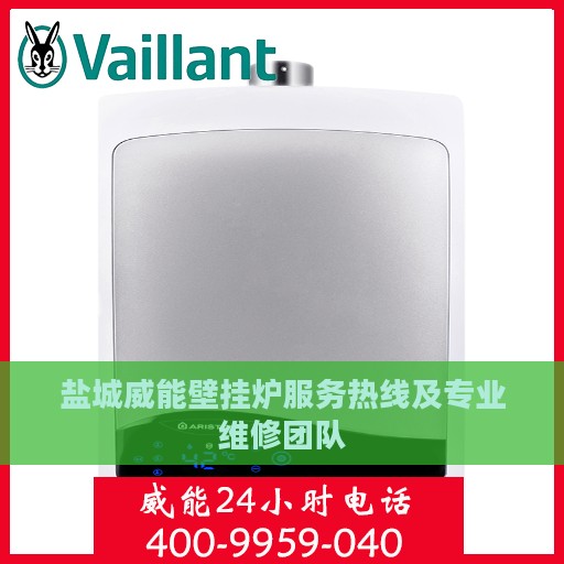 盐城威能壁挂炉服务热线及专业维修团队