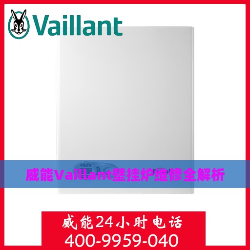 威能Vaillant壁挂炉维修全解析