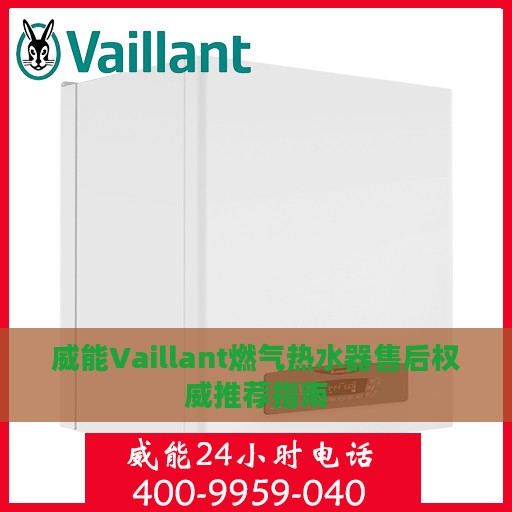 威能Vaillant燃气热水器售后权威推荐指南