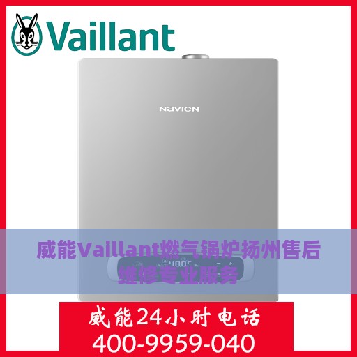 威能Vaillant燃气锅炉扬州售后维修专业服务