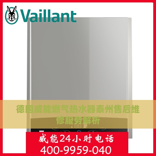 德国威能燃气热水器泰州售后维修服务解析